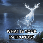 Pottermore Quiz
