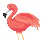 icon-221.webp Flamingo Animator - Image 1